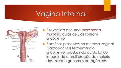 fotos vaginas|Mais de 10.000 imagens grátis de Vagina Feminino e Mulher